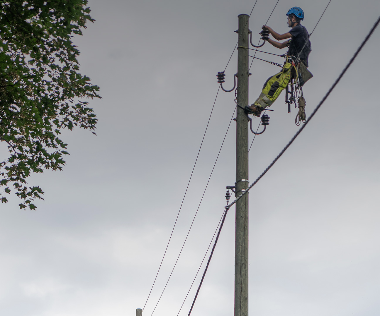 Netzelektriker hängt an Strommast, links daneben ist die Krone eines Baumes